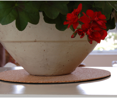 Eco Cork Mat 12″